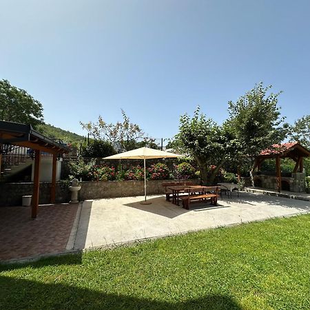 Apartmani Stanisic Чань Екстер'єр фото